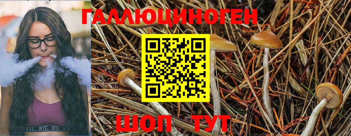 Грязи  Псилоцибиновые грибы Psilocybine cubensis  Вход с VPN  Псилоцибиновые грибы мицелий 