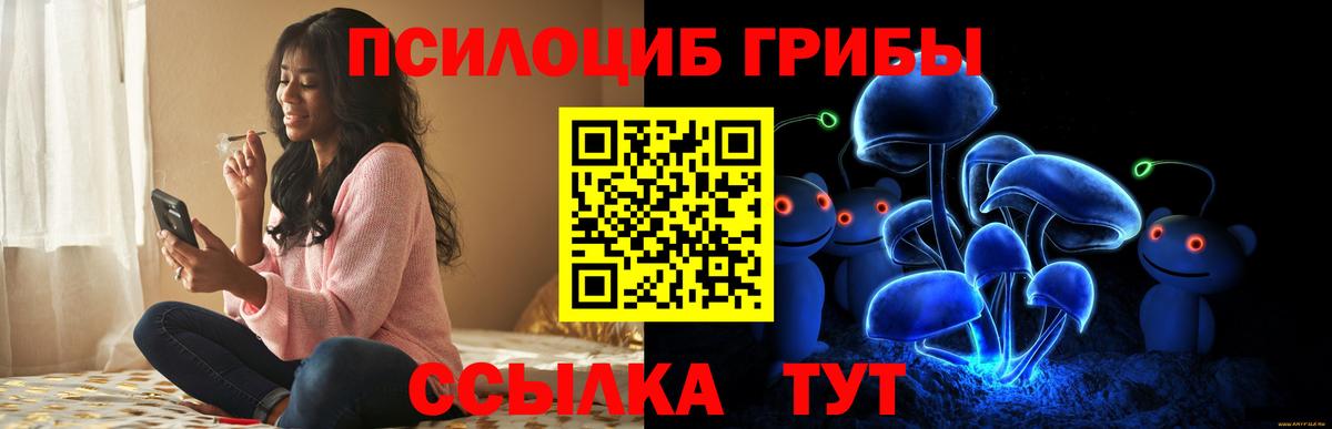 Псилоцибиновые грибы Magic Shrooms Грязи